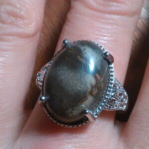 Venus Jasper Platinum Bond Brass Ring (Size 9)